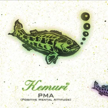 PMA (Positive Mental Attitude)