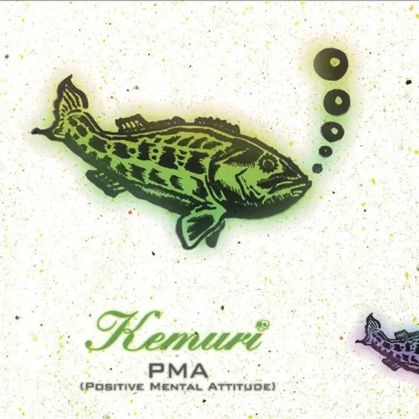 PMA (Positive Mental Attitude)