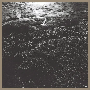 Blind sky by kahier - album cover