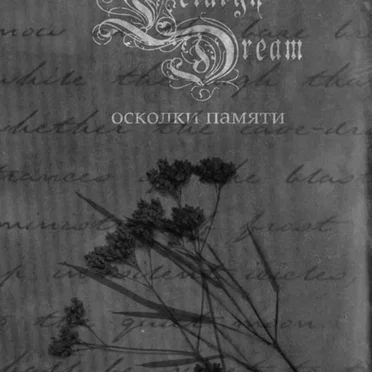Осколки памяти