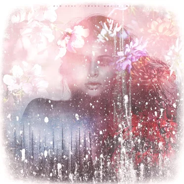 Seasons by Old Seas / Young Mountains - album cover