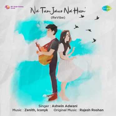 Na Tum Jano Na Hum (Revibe)