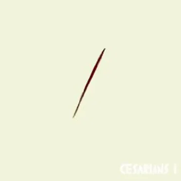 Cesarians 1 by The Cesarians - album cover