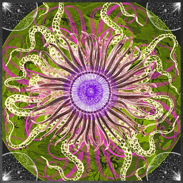 Unearthly Geometry