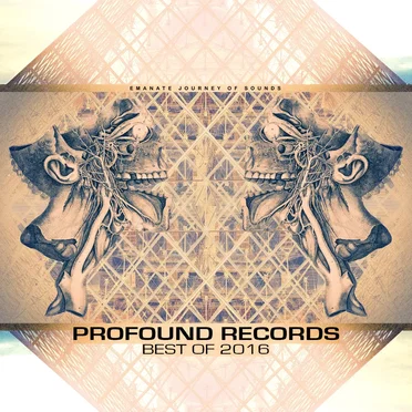 Best of Profound 2016 by Various Artists - album cover