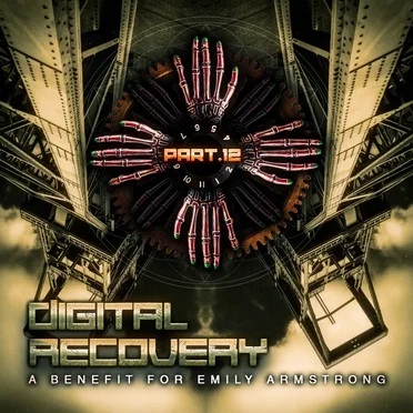 Digital Recovery, Part 12 by Various Artists - album cover