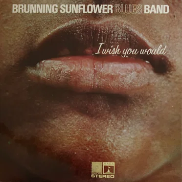 I Wish You Would by Brunning Sunflower Blues Band - album cover