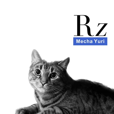 The Real Zone by Various Artists - album cover