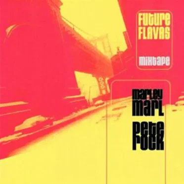 Future Flavas Mixtape by Marley Marl - album cover