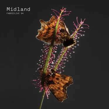 FabricLive 94: Midland by Midland - album cover