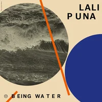 Lali Puna artist image