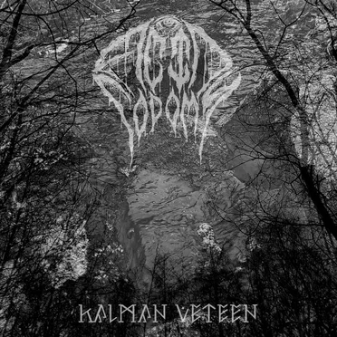 Kalman veteen