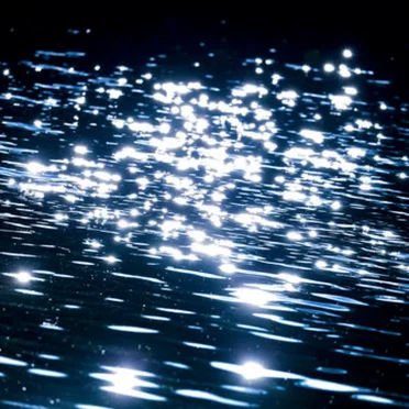 Shimmer