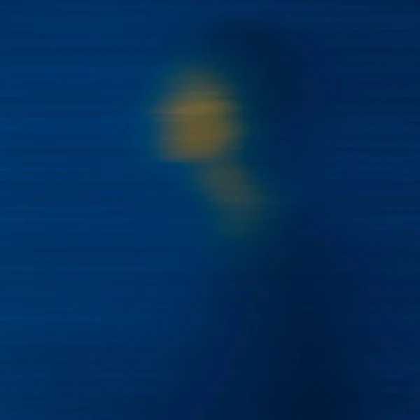 エルザ