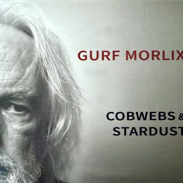 Cobwebs & Stardust