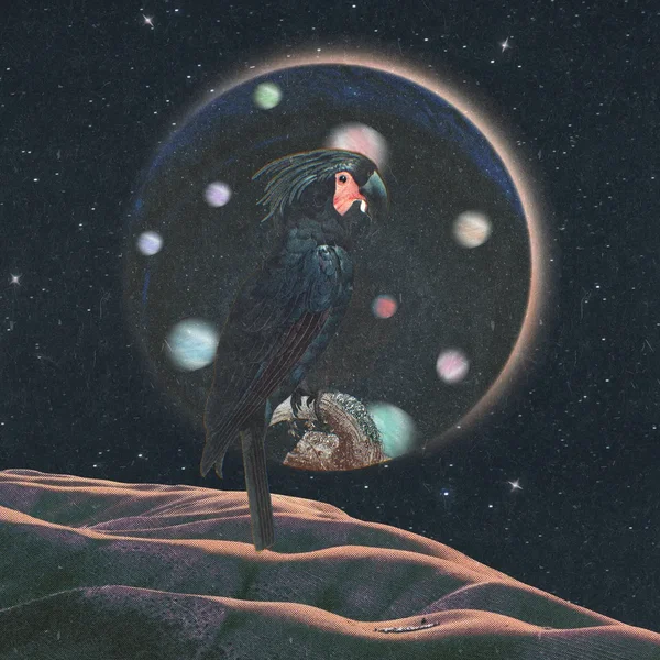 you, me and stardust