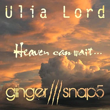 Heaven Can Wait...