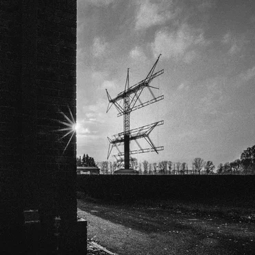 Signal