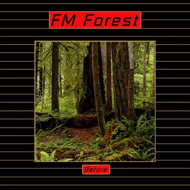 Before the Forest by FM Forest - album cover