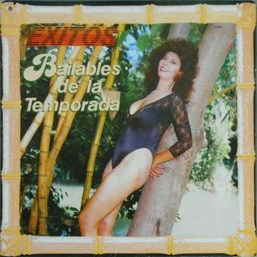 Bailables de la temporada by Varios - album cover