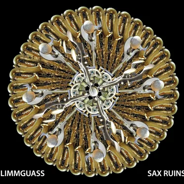 Blimmguass