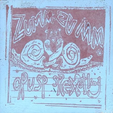 Crusp Srexstling by Zumm Zumm - album cover