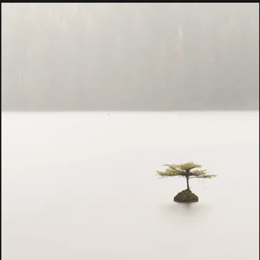 Island Oasis