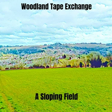 A Sloping Field by Woodland Tape Exchange - album cover