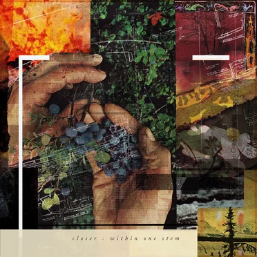 within one stem by closer - album cover