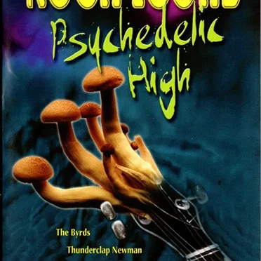 Rock Icons: Psychedelic High by Various Artists - album cover