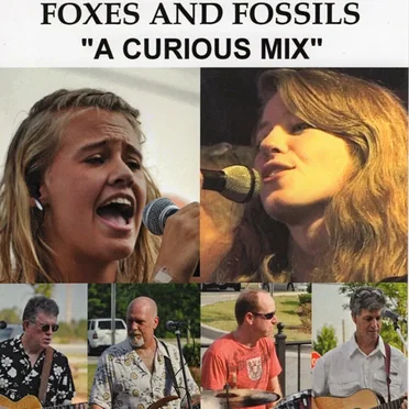 A Curious Mix by Foxes and Fossils - album cover