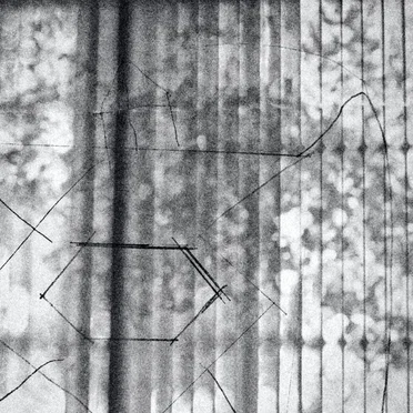 Seldom We Come Home Without Hurting of Conscience