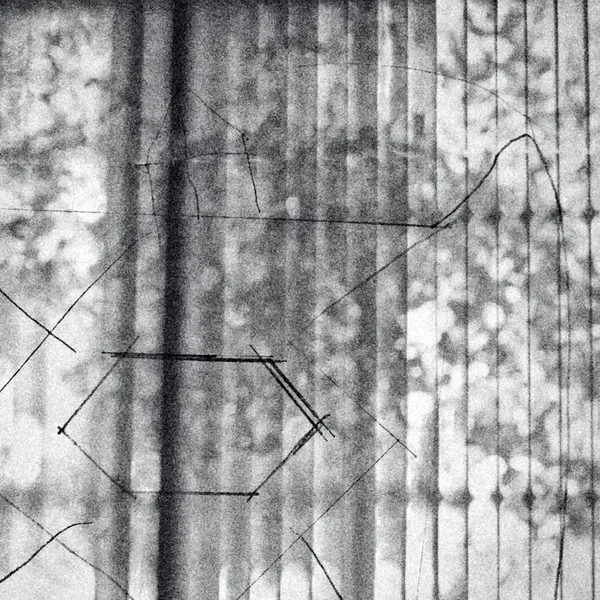 Seldom We Come Home Without Hurting of Conscience