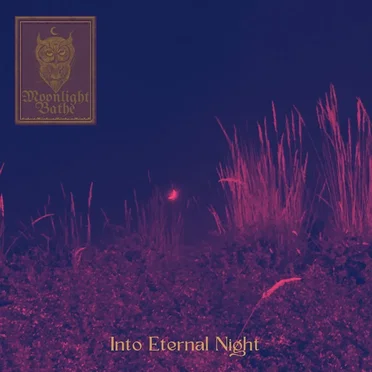 Into Eternal Night by Moonlight Bathe - album cover