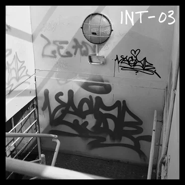 Integument