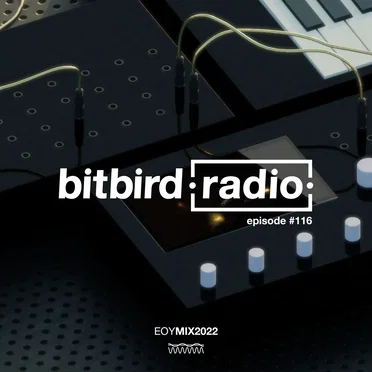 San Holo Presents: bitbird radio #116 | 2022 mix