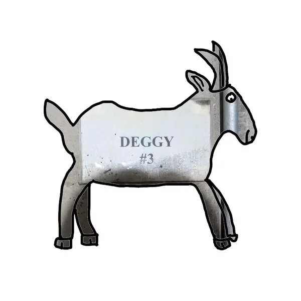 Deggy #3