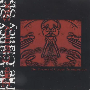 The Process Of Corpse Decomposition