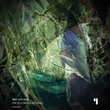 The First Report of Injury by Dan Schreck - album cover