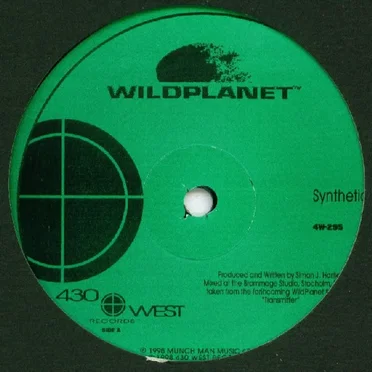 Synthetic / Moving On
