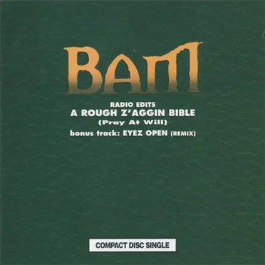 A Rough Z'Aggin Bible (Pray at Will) by BAM - album cover