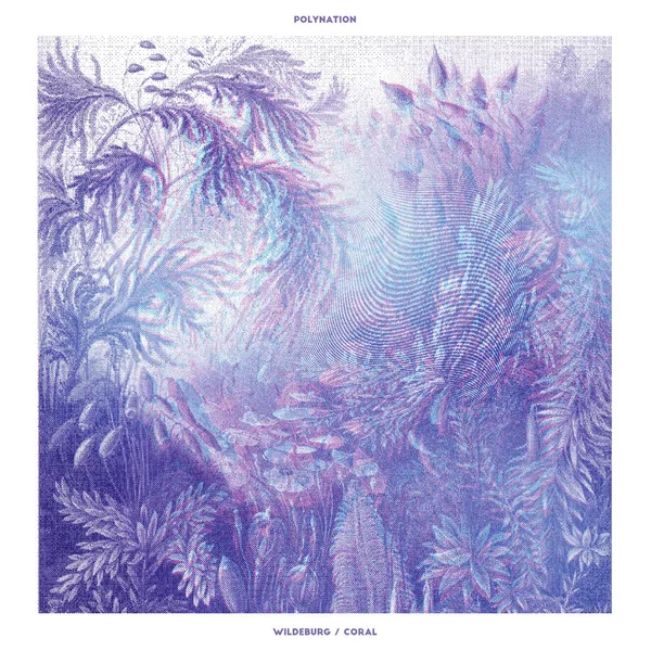 Wildeburg / Coral