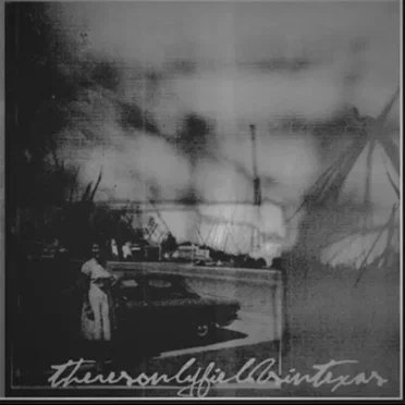 Theresonlyfieldsintexas by pacer - album cover