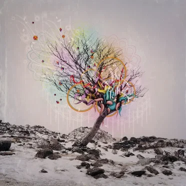 Color in Your Hands by D.L.i.d - album cover