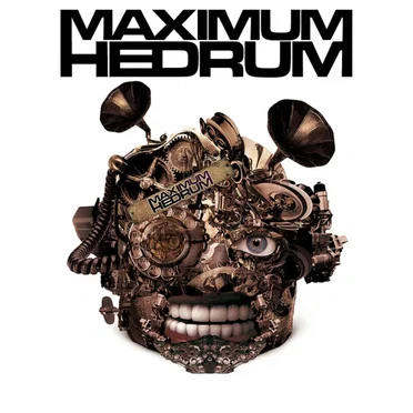 Maximum Hedrum