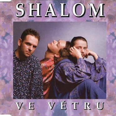 Ve větru