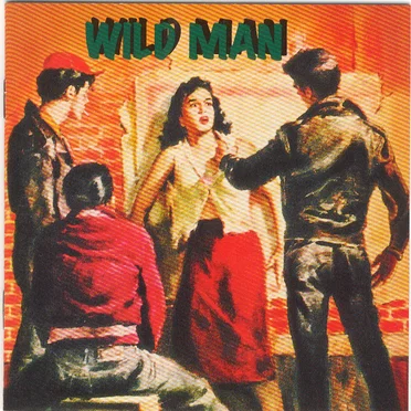 Wild Men by Various Artists - album cover