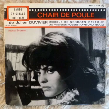 Chair de poule