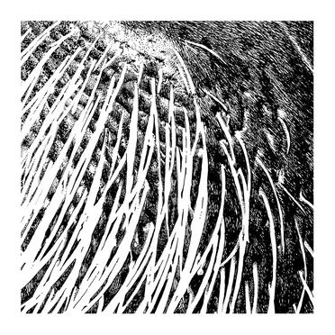 Tormenta by Filho da Mãe - album cover