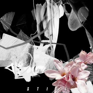 Still by MARIA Die RUHE - album cover